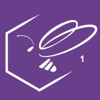 Capsule lumière semaine 8