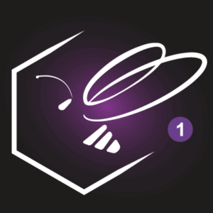 Capsule lumière semaine 6